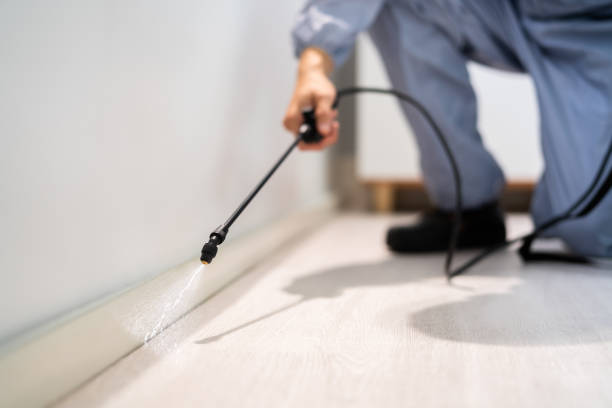 Licensed Termite Control service in Kettering, MD - Nex Pest Control
