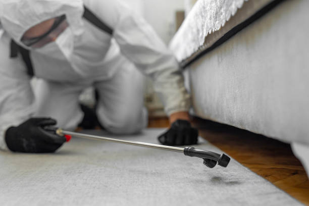 Professional Termite Control technician working in Kettering, MD