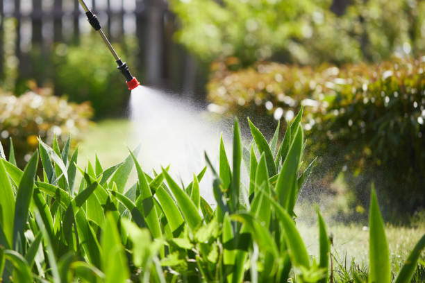 24/7 Emergency Termite Control experts in Kettering, MD