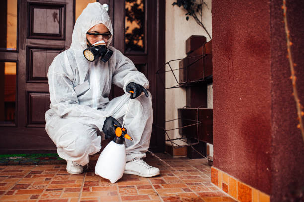 Reliable Termite Control contractor in Kettering, MD by Nex Pest Control