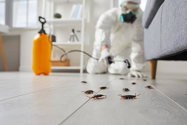 Affordable Termite Control solutions in Kettering, MD