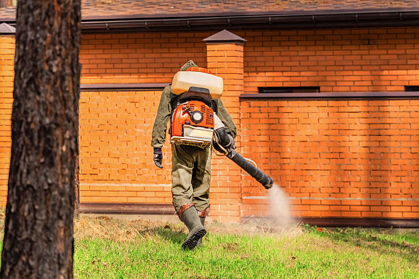 Top rated local Termite Control specialists in Kettering, MD